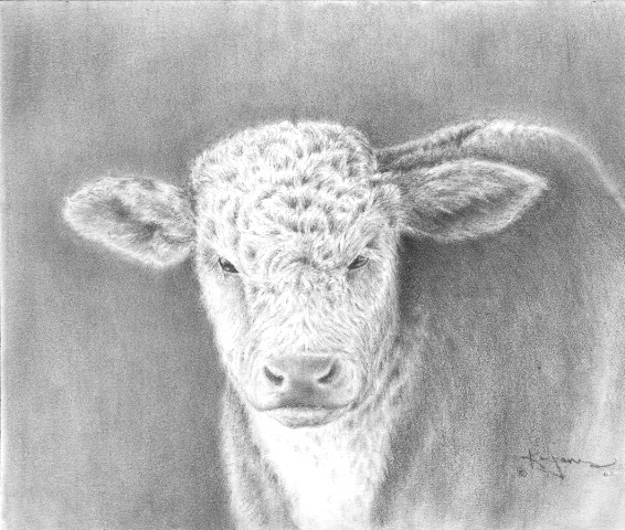 COPYRIGHT KIM H JONES 2002